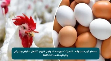 أسعار غير مسبوقة.. تحديثات بورصة الدواجن اليوم تشمل الفراخ والبيض والبانيه الأحد 7-9-2025